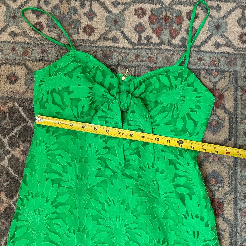 Lilly Pulitzer Sarahlynne Maxi Dress - Picture 9 of 10